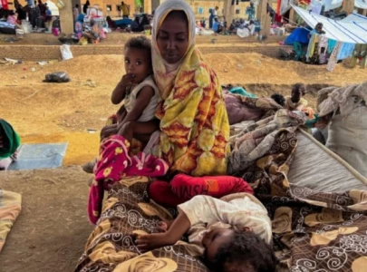 rsf fighters cause chaos in sudan s farming region